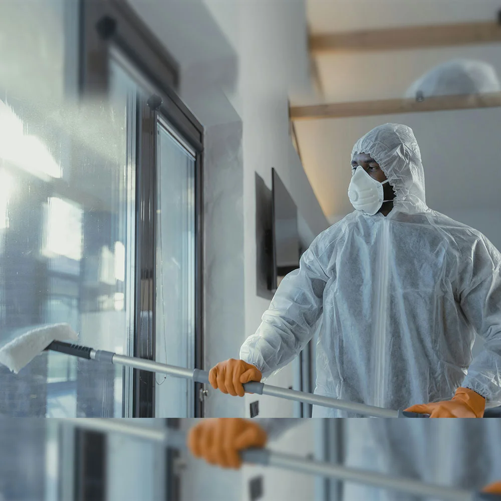 green cleaning orange county