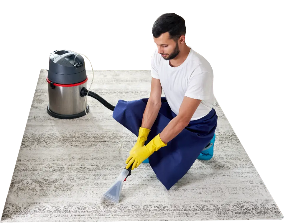Carpet Cleaning Services in Orange County  