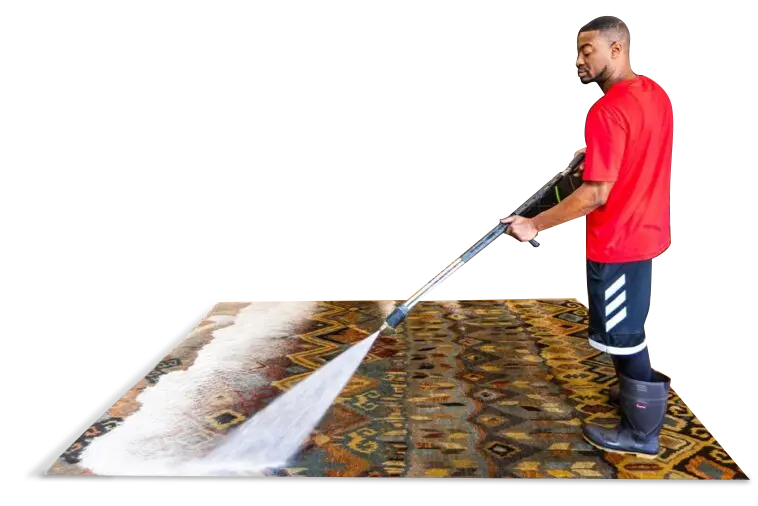 Carpet Cleaning Services in Orange County  